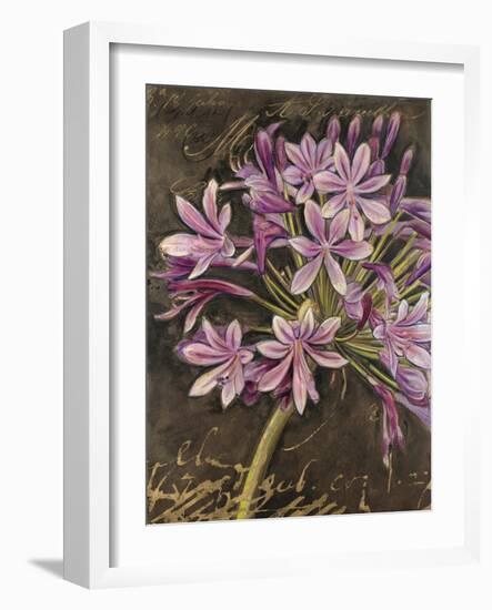 Scripted Agapanthus-Chad Barrett-Framed Art Print