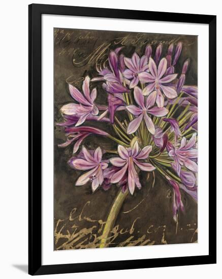 Scripted Agapanthus-Chad Barrett-Framed Art Print