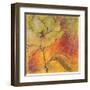 Scripted Bloom 1-Jane Bellows-Framed Art Print