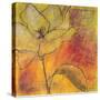 Scripted Bloom 1-Jane Bellows-Stretched Canvas