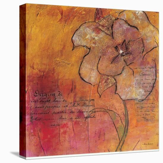 Scripted Bloom 2-Jane Bellows-Stretched Canvas