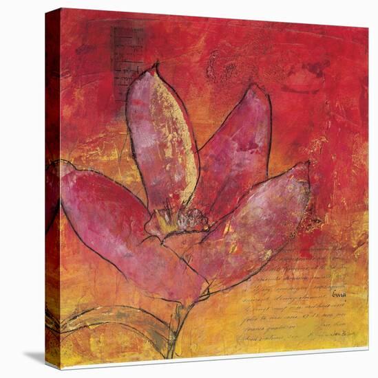 Scripted Bloom 3-Jane Bellows-Stretched Canvas