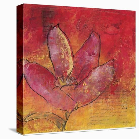 Scripted Bloom 3-Jane Bellows-Stretched Canvas