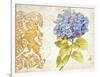 Scripted Hydrangea-Chad Barrett-Framed Art Print