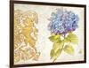 Scripted Hydrangea-Chad Barrett-Framed Art Print