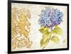 Scripted Hydrangea-Chad Barrett-Framed Art Print