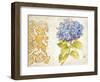 Scripted Hydrangea-Chad Barrett-Framed Art Print