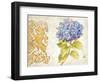 Scripted Hydrangea-Chad Barrett-Framed Art Print