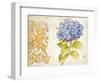 Scripted Hydrangea-Chad Barrett-Framed Art Print