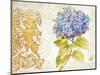 Scripted Hydrangea-Chad Barrett-Mounted Art Print