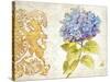 Scripted Hydrangea-Chad Barrett-Stretched Canvas