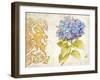 Scripted Hydrangea-Chad Barrett-Framed Art Print