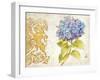 Scripted Hydrangea-Chad Barrett-Framed Art Print