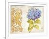 Scripted Hydrangea-Chad Barrett-Framed Art Print