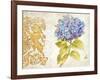 Scripted Hydrangea-Chad Barrett-Framed Art Print