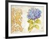 Scripted Hydrangea-Chad Barrett-Framed Art Print