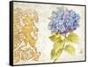 Scripted Hydrangea-Chad Barrett-Framed Stretched Canvas