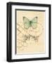 Scripted Papillon-Chad Barrett-Framed Art Print