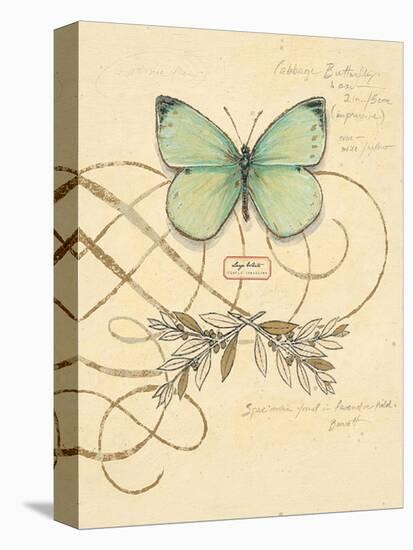 Scripted Papillon-Chad Barrett-Stretched Canvas