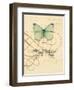 Scripted Papillon-Chad Barrett-Framed Art Print