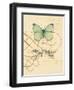 Scripted Papillon-Chad Barrett-Framed Art Print