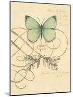 Scripted Papillon-Chad Barrett-Mounted Art Print