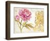 Scripted Rose-Chad Barrett-Framed Art Print