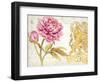 Scripted Rose-Chad Barrett-Framed Art Print