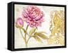 Scripted Rose-Chad Barrett-Framed Stretched Canvas