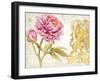 Scripted Rose-Chad Barrett-Framed Art Print