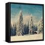 Scripted-Philippe Sainte-Laudy-Framed Stretched Canvas