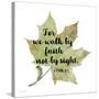 Scripture Leaf-A-Jean Plout-Stretched Canvas