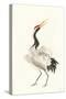 Scroll Crane I Warm-Chris Paschke-Stretched Canvas