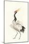 Scroll Crane I Warm-Chris Paschke-Mounted Art Print