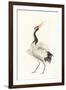 Scroll Crane I Warm-Chris Paschke-Framed Art Print