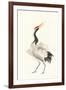 Scroll Crane I Warm-Chris Paschke-Framed Art Print