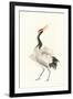 Scroll Crane I Warm-Chris Paschke-Framed Art Print