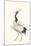 Scroll Crane I Warm-Chris Paschke-Mounted Art Print