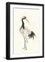 Scroll Crane II Warm-Chris Paschke-Framed Art Print