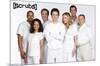 Scrubs - One Sheet-Trends International-Mounted Poster