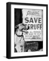 Scruff Beside a Placard Place Outside Home, Asking Friends to Add Signatures to the Petition-null-Framed Photographic Print