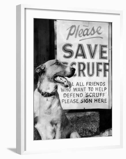 Scruff Beside a Placard Place Outside Home, Asking Friends to Add Signatures to the Petition-null-Framed Photographic Print