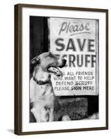 Scruff Beside a Placard Place Outside Home, Asking Friends to Add Signatures to the Petition-null-Framed Photographic Print