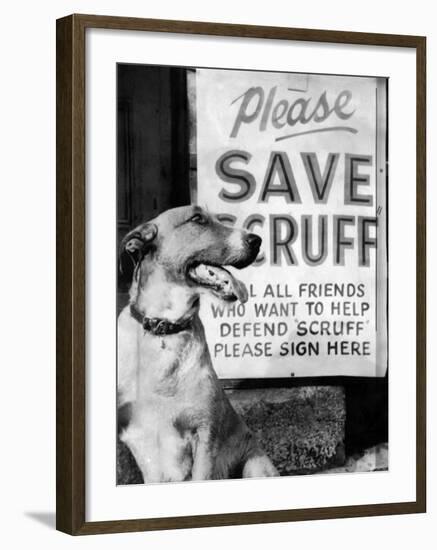 Scruff Beside a Placard Place Outside Home, Asking Friends to Add Signatures to the Petition-null-Framed Photographic Print