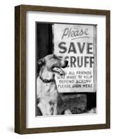 Scruff Beside a Placard Place Outside Home, Asking Friends to Add Signatures to the Petition-null-Framed Photographic Print