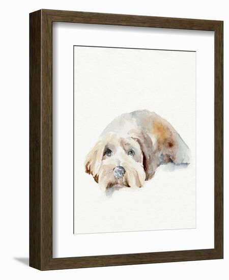 Scruffy Puppy II-Jennifer Parker-Framed Art Print