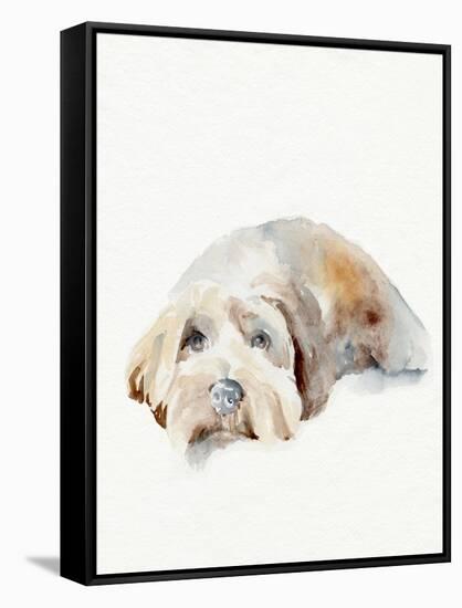 Scruffy Puppy II-Jennifer Parker-Framed Stretched Canvas