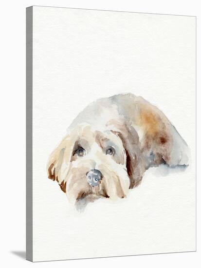 Scruffy Puppy II-Jennifer Parker-Stretched Canvas