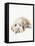 Scruffy Puppy II-Jennifer Parker-Framed Stretched Canvas