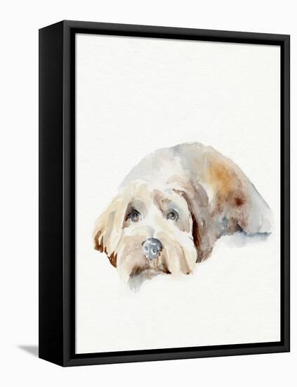 Scruffy Puppy II-Jennifer Parker-Framed Stretched Canvas